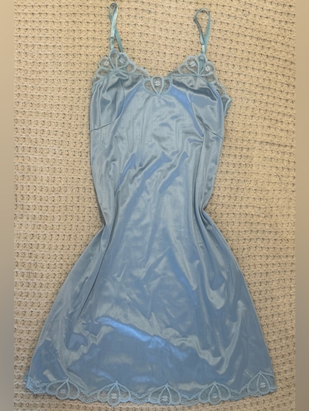 Vintage Van Raalte Slip Dress
